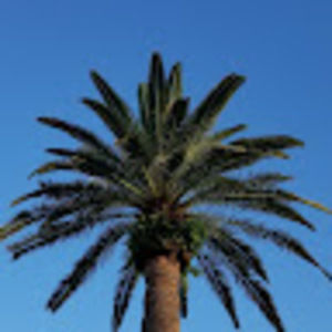 Meet your Posher, Debora